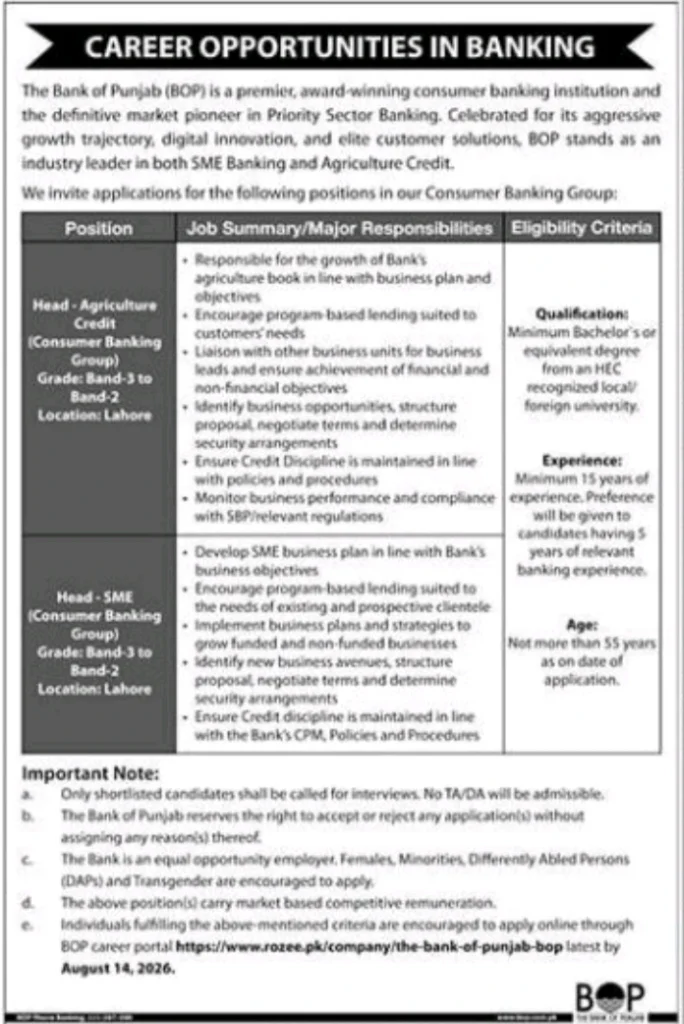 Bank of Punjab Jobs 2026
