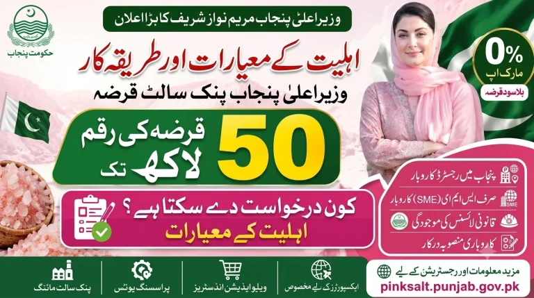 CM Punjab Pink Salt Loan Eligibility Criteria: Who Can Apply?