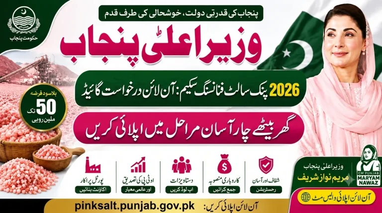 How to Apply Online for Pink Salt Loan via pinksalt.punjab.gov.pk