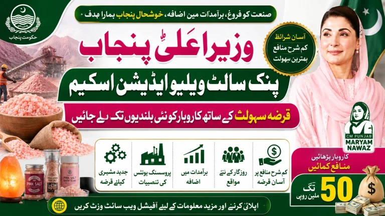 Chief Minister Pink Salt Value Addition Scheme: Loan Benefits & Details
